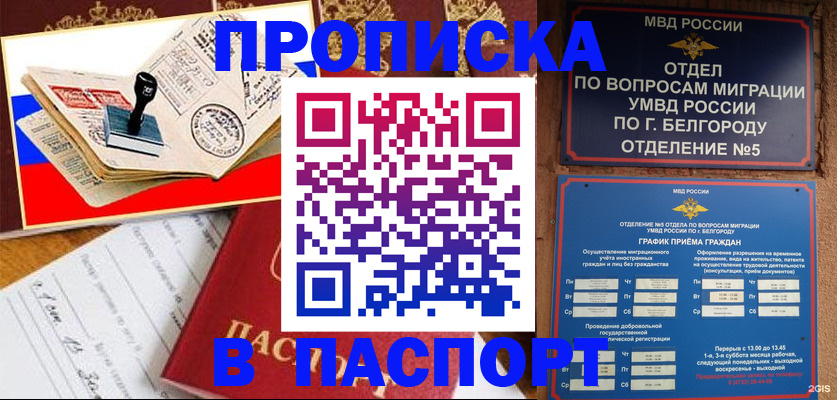 купить прописку в Псковской области